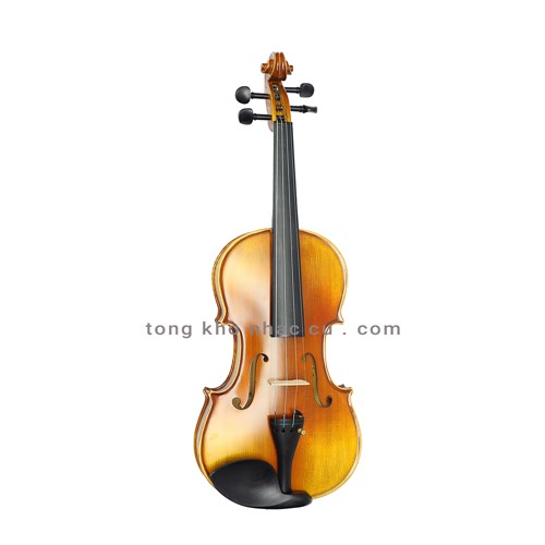 Đàn Violin Vân Vẽ